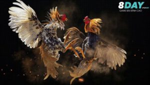 Tổng quan về tựa game đá gà 8Day